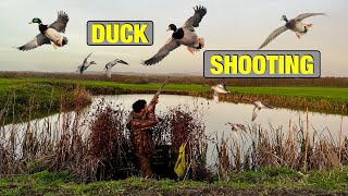 Duck Hunting  A Compilation Of Duck Shooting Days [upl. by Clarie618]