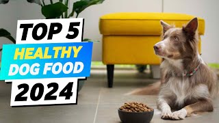 Top 5 Best Healthy Dog Food 2024  Vet Recommended Dog Food [upl. by Asp]