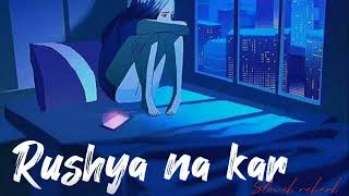 Rushya na kar lofi slowedreberb Manjeet40lofi lofi song [upl. by Dulcy49]