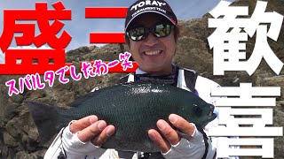 【モリゾーチャレンジ②】猪熊博之 ｘ 清水盛三 初めての磯釣りでグレを狙う！ 後編 大分米水津 [upl. by Mallis13]