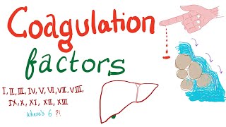 Coagulation Factors  Hemostasis  Hematology [upl. by Juna]