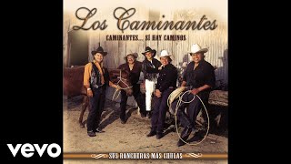 Los Caminantes  Tu Mirada Audio [upl. by Kermy]