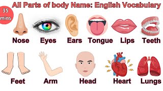 Parts of the Body in English  Parts of Body Name with Pictures  bodyparts englishvocabulary [upl. by Ahsikram]