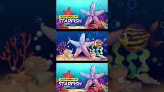 How To Draw A Cartoon Starfish For Kids [upl. by Melisandra]