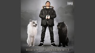 Weißer amp Schwarzer Wolf Outro [upl. by Farand]