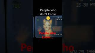 Smile dog реком рек funny хочуврек memes хочувреки [upl. by Garnet]