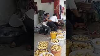 Starting process of a handcranked diesel engine for grinding potatoes [upl. by Nosrak]