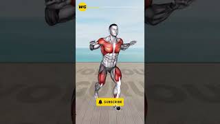 ➜ Efficient Effective ➜ 10 MIN Standing Abs Workout for a Strong Core Exercise 6 [upl. by Gomer]