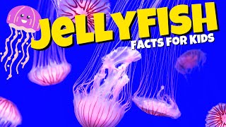 What are Jellyfish Jellyfish Facts for Kids [upl. by Dyna]