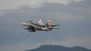 【岐阜基地航空祭2024】レガシーホーネット帰投！ [upl. by Llenad723]