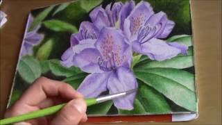 time lapse painting of a purple rhododendron blossom Inktense [upl. by Madalyn]