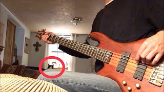 Raise a Hallelujah  Bethel Music feat Cat Bass CoverTutorial [upl. by Brynna]