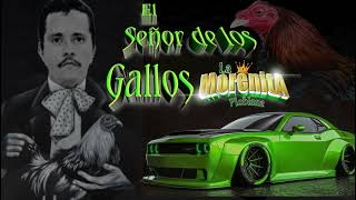 el señor de los gallos Los Alegres Del Barranco [upl. by Golter]