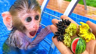 BonBon Monkey Come Fruta Con un Lindo Cachorro y un Patito y Nada en la Piscina Bonbon en Español [upl. by Callida]