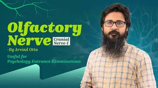 Cranial Nerve 1  Olfactory Cranial Nerve  BioPsychology with Arvind Otta [upl. by Irim]