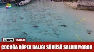 Çocuğa köpek balığı sürüsü saldırıyordu [upl. by Llerat]