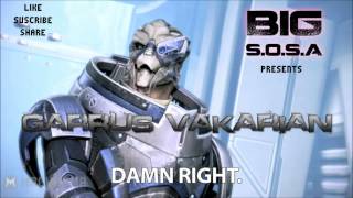 BIG SOSA  Damn Right Garrus parody beat Unofficial [upl. by Abisha]