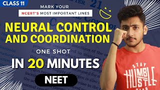 Neural Control and Coordination Class 11  Biology  For NEET  Full Revision In 20 Minutes [upl. by Akir678]