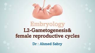 Embryology lecture 2  gametogenesis and female reproductive cycles [upl. by Arakihc408]