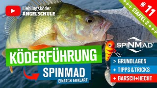 Köderführung SpinMad für Barsch amp Hecht Staffel 2 Folge 11 [upl. by Suoivatra]