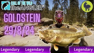 Goldstein the Legendary Fish this Week 29824  Call of the Wild The Angler [upl. by Hermon]