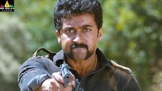 Singam Yamudu 2 Movie Scenes  Surya Attack on Mukesh Rishi  Latest Telugu Movie Scenes [upl. by Thurmann]