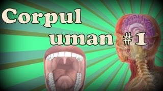 Corpul uman 1 [upl. by Hudgens]