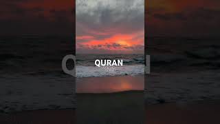 Quran Surah AnNisa Aaya 1718 Urdu Translation  Al quran Kareem urdu translation shorts quran [upl. by Spancake]