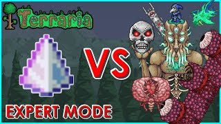 Terraria  Last Prism vs All Bosses and Events  Dungeon Guardian Expert Mode  Biron [upl. by Nylitak]