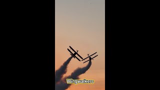 Wingwalkers AYR SHOW 2024 shorts [upl. by Krefetz]