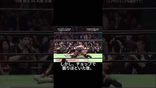 Wrestling sequence  Naomichi Marufuji vs Kenta Kobashi  4 [upl. by Allerbag]