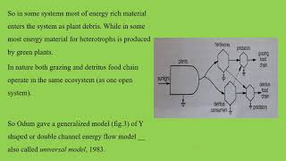 y shaped energy flow model [upl. by Vyse111]