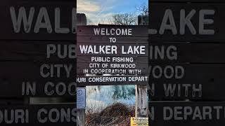 Shorts Trout Fishing  Walker Lake at Kirkwood City  Sunset [upl. by Ecidnac]