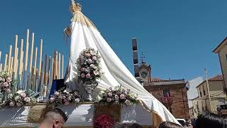 Domingo de Ramos 2023 Virgen de la Palma La Carolina [upl. by Adnaw]