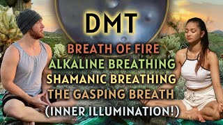 INNER ILLUMINATION POWERFUL DMT BREATHING EXERCISES TO INCREASE LIFE FORCE ENERGY [upl. by Kerr]