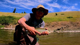 Fly Fishing MASSIVE Trout in Alberta Eastern Slopes [upl. by Norym620]