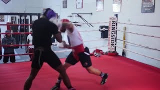 Gervonta Davis beating up sparring partners Compilation HD [upl. by Nauqyaj953]