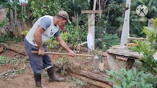 201024 SITILZINHO PÉ DE SERRA  TEMPINHO PRA LIMPEZA NO QUINTAL E NA ESTRADINHA ANTES DA CHUVA🙏 [upl. by Michaelina]