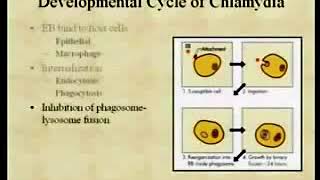 215 Rickettsia Ehrlichia Coxella and BartonellaII  Medical Microbiology [upl. by Mattheus103]