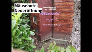 Das Mäusehotel – Wiedereröffnung [upl. by Enimzzaj]