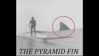 The Pyramid Fin [upl. by Ardnahc728]