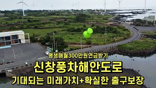 평생300만원 연금받기제주도토지경매 [upl. by Maye]