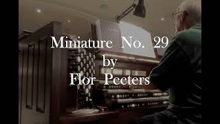 Miniature No 29 by Flor Peeters [upl. by Atiuqal]