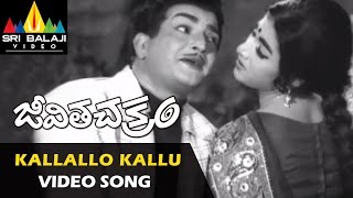 Jeevitha Chakram Video Songs  Kallallo Kallupetti Video Song  NTR Vanisri  Sri Balaji Video [upl. by Airdni798]