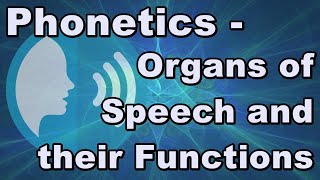 Phonetics  Organs of Speech and their Functions [upl. by Attenborough644]