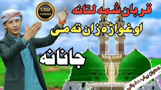 Pashto Naat Sharif Qurban Shama Latana Oghwara Zan Ta Me JananaAwaz Rihab Mashwani [upl. by Etem]