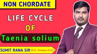 Life Cycle Of Taenia solium  Non Chordata  Sumit Rana Sir [upl. by Tillie192]