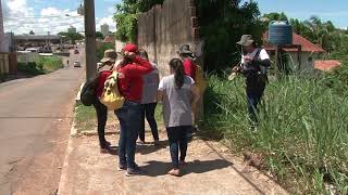 RIO BRANCO LIDERA OS CASOS DE DENGUE NO ESTADO EM 2024 [upl. by Gilliam]