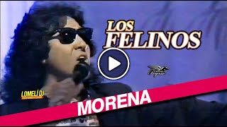 1991  Los Felinos  Morena  El Show de Johnny Canales [upl. by Hibbitts]