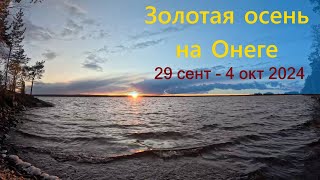 Золотая осень на Онеге 29 сентября  4 октября 2024 [upl. by Perkin]